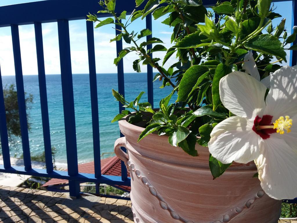 Constantinos Apartments Lassi  Zewnętrze zdjęcie